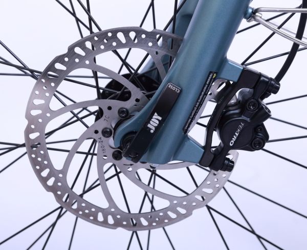 1200,00 € Herren E-Bike WEE-Carnelian 2 , 28 Zoll, 7 Gang, 90 NM, 630 WH-Samsung + Gratis E-Laufband